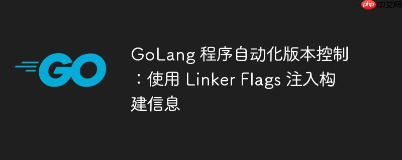 GoLang 程序自动化版本控制：使用 Linker Flags 注入构建信息