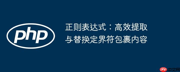 正则表达式：高效提取与替换定界符包裹内容