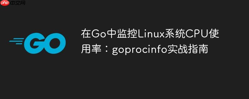 在Go中监控Linux系统CPU使用率：goprocinfo实战指南