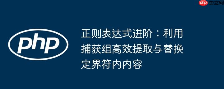 正则表达式进阶：利用捕获组高效提取与替换定界符内内容