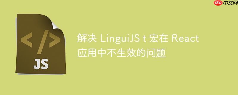 解决 LinguiJS t 宏在 React 应用中不生效的问题