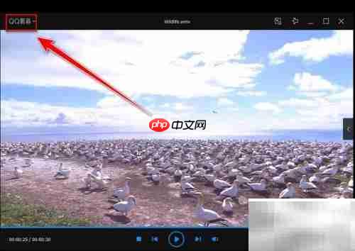 取消QQ影音默认播放器方法