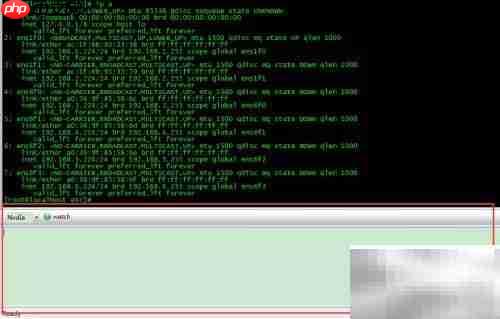 Secure CRT批量操作技巧