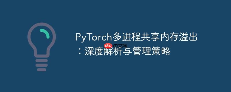 PyTorch多进程共享内存溢出：深度解析与管理策略