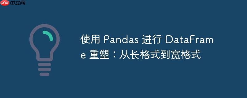 使用 pandas 进行 dataframe 重塑：从长格式到宽格式