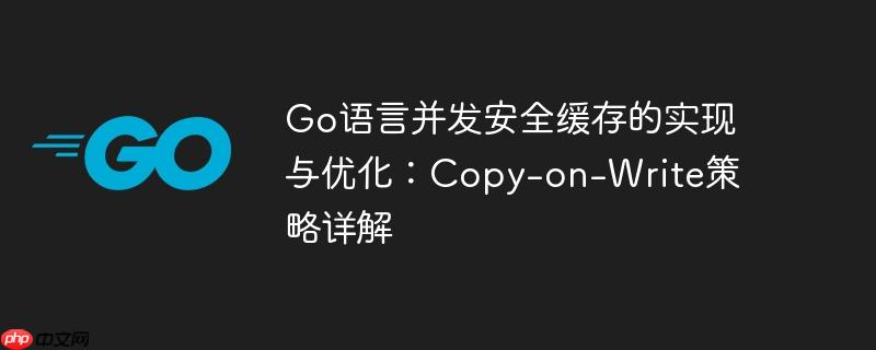 Go语言并发安全缓存的实现与优化：Copy-on-Write策略详解