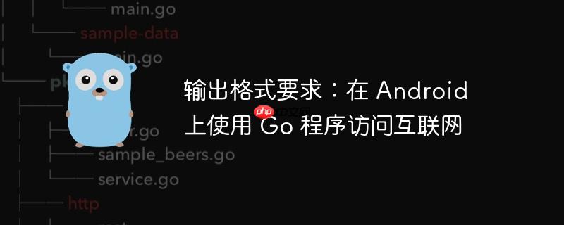 输出格式要求：在 Android 上使用 Go 程序访问互联网