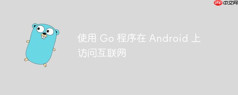 使用 Go 程序在 Android 上访问互联网