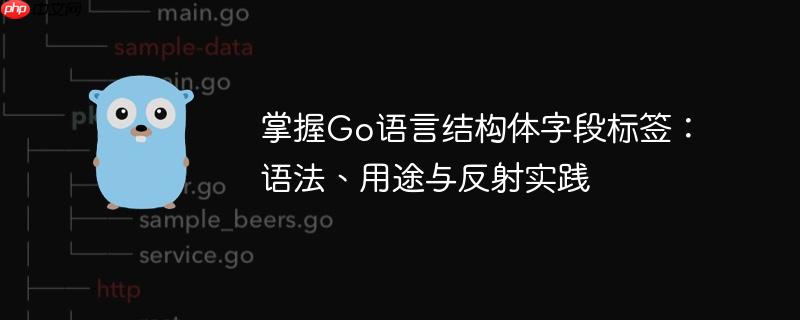 掌握Go语言结构体字段标签：语法、用途与反射实践