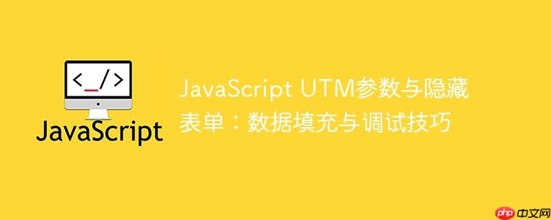 JavaScript UTM参数与隐藏表单：数据填充与调试技巧