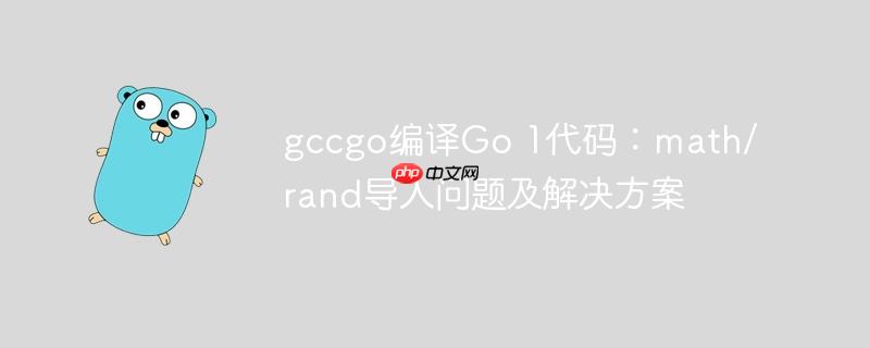 gccgo编译Go 1代码：math/rand导入问题及解决方案