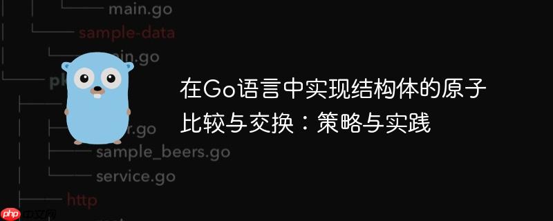 在Go语言中实现结构体的原子比较与交换：策略与实践