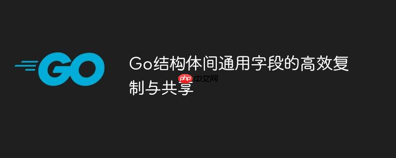 Go结构体间通用字段的高效复制与共享