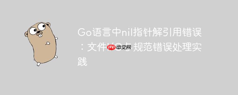 Go语言中nil指针解引用错误：文件I/O与规范错误处理实践