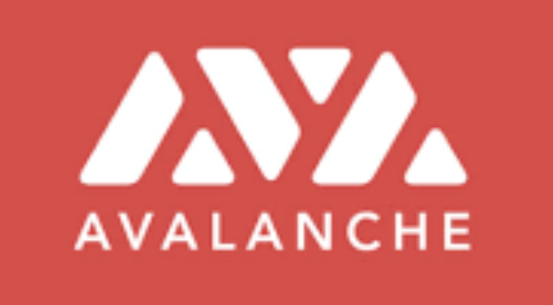 国际虚拟币市值排行榜2025 国际虚拟币市值前十名盘点 - 创想鸟