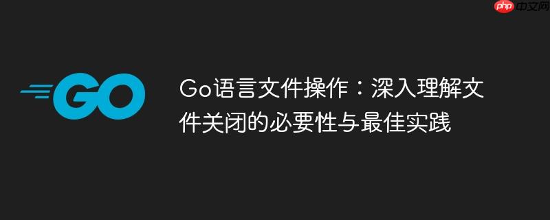 Go语言文件操作：深入理解文件关闭的必要性与最佳实践