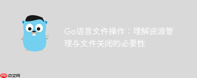 Go语言文件操作：理解资源管理与文件关闭的必要性