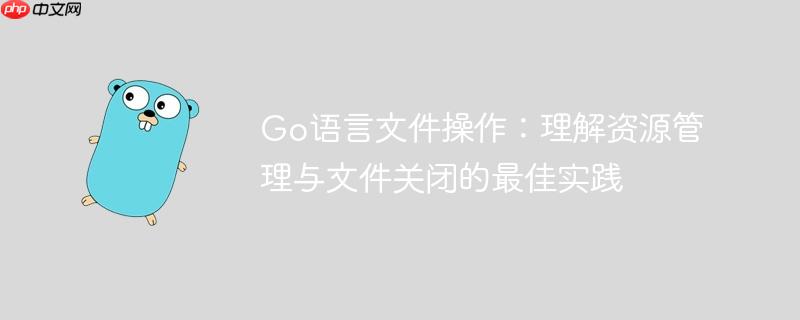 Go语言文件操作：理解资源管理与文件关闭的最佳实践