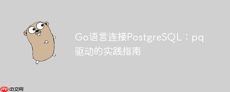 Go语言连接PostgreSQL：pq驱动的实践指南