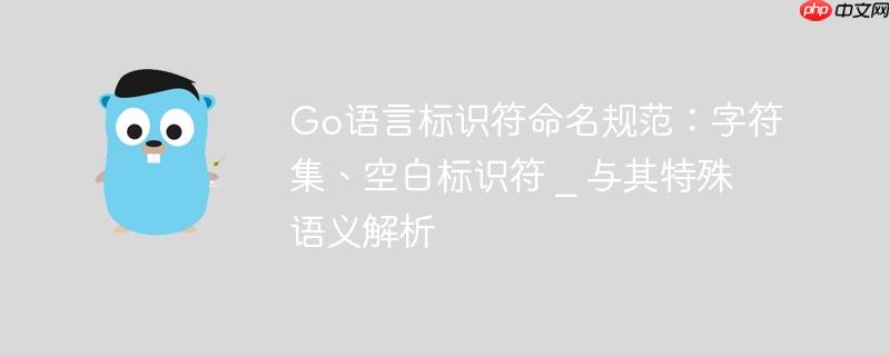 Go语言标识符命名规范：字符集、空白标识符 _ 与其特殊语义解析