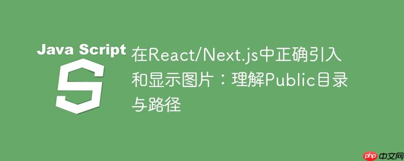 在React/Next.js中正确引入和显示图片：理解Public目录与路径