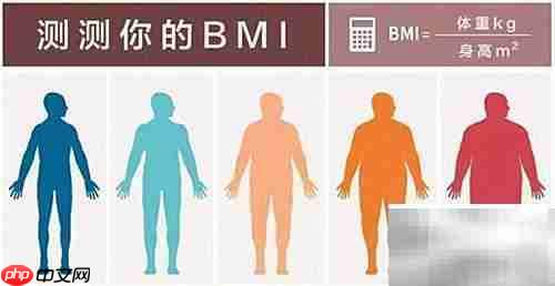 BMI是什么？一文读懂