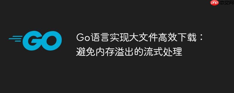 Go语言实现大文件高效下载：避免内存溢出的流式处理