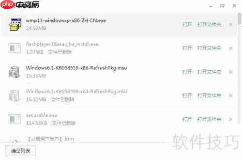 Windows Media Player 11 简介