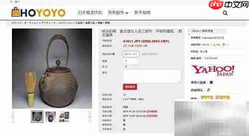 日拍铁瓶攻略：雅虎拍卖全指南