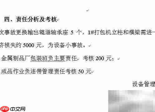 事故分析报告格式
