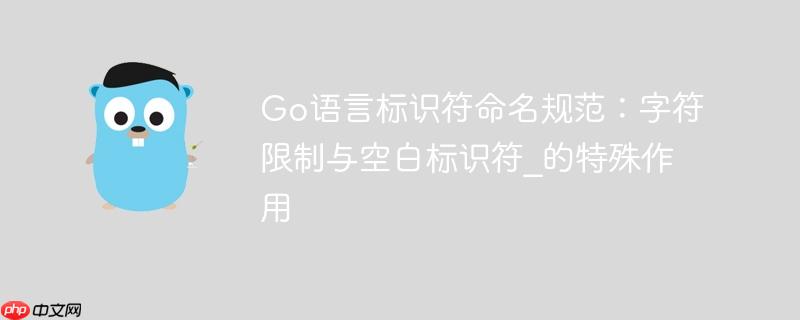 Go语言标识符命名规范：字符限制与空白标识符_的特殊作用