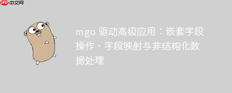 mgo 驱动高级应用：嵌套字段操作、字段映射与非结构化数据处理