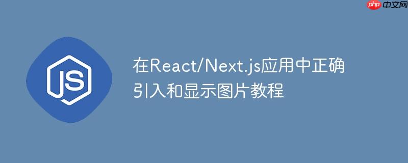 在React/Next.js应用中正确引入和显示图片教程