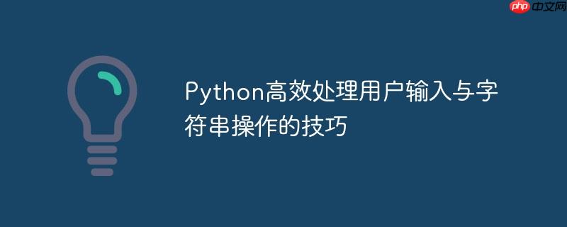 Python高效处理用户输入与字符串操作的技巧