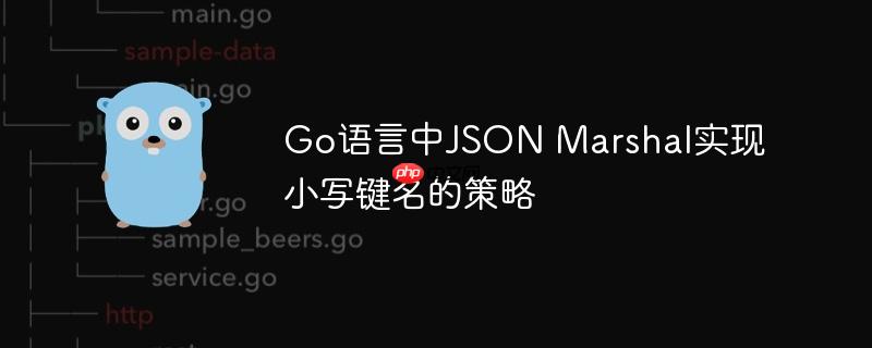 Go语言中JSON Marshal实现小写键名的策略