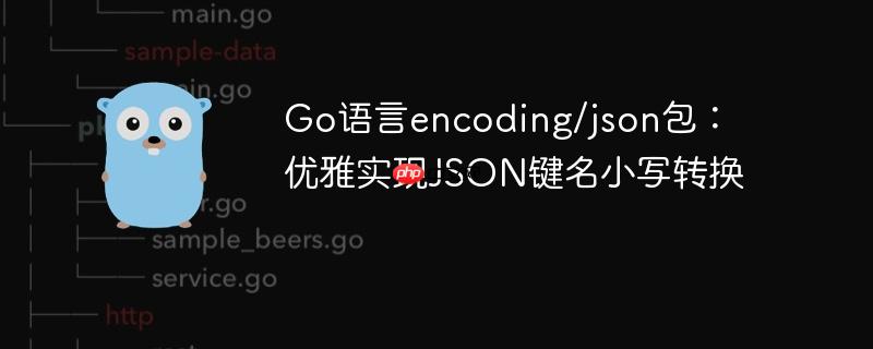 Go语言encoding/json包：优雅实现JSON键名小写转换