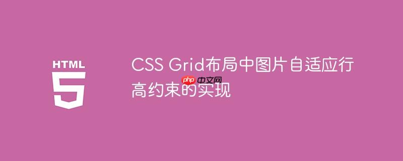CSS Grid布局中图片自适应行高约束的实现