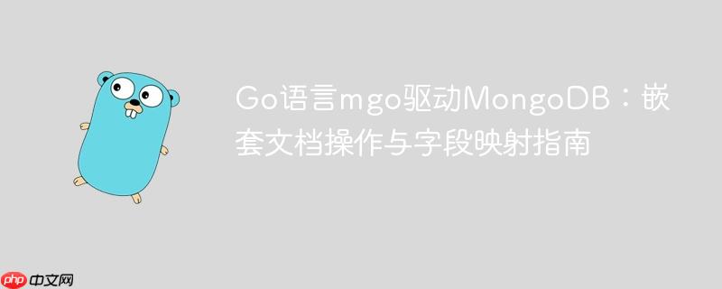 Go语言mgo驱动MongoDB：嵌套文档操作与字段映射指南