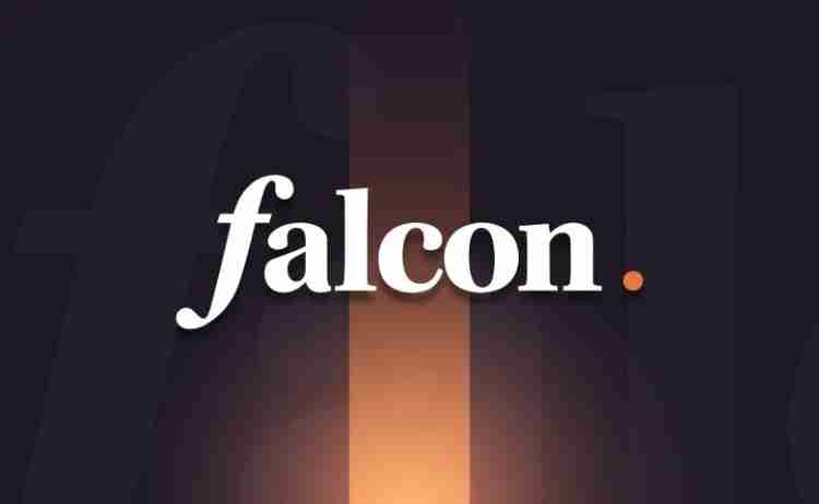 Falcon Finance(FF)币是什么?值得投资吗?FF代币社区销售与风险性分析