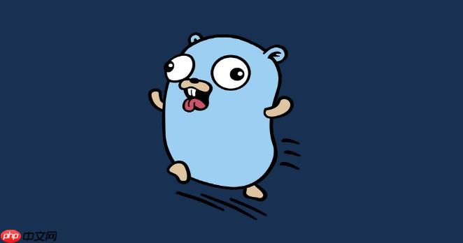 GolangWeb表单输入验证与清理技巧