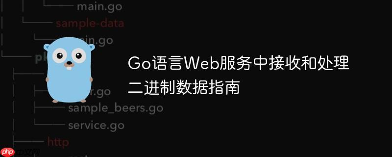 Go语言Web服务中接收和处理二进制数据指南