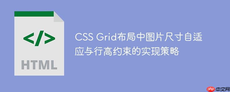 CSS Grid布局中图片尺寸自适应与行高约束的实现策略