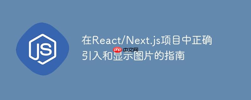 在React/Next.js项目中正确引入和显示图片的指南