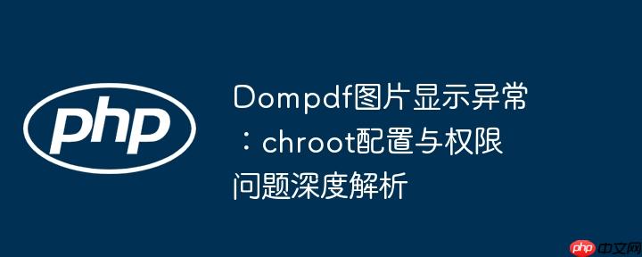 Dompdf图片显示异常：chroot配置与权限问题深度解析