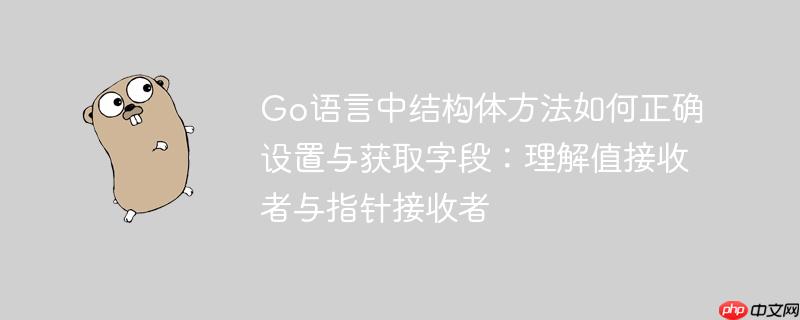 Go语言中结构体方法如何正确设置与获取字段：理解值接收者与指针接收者