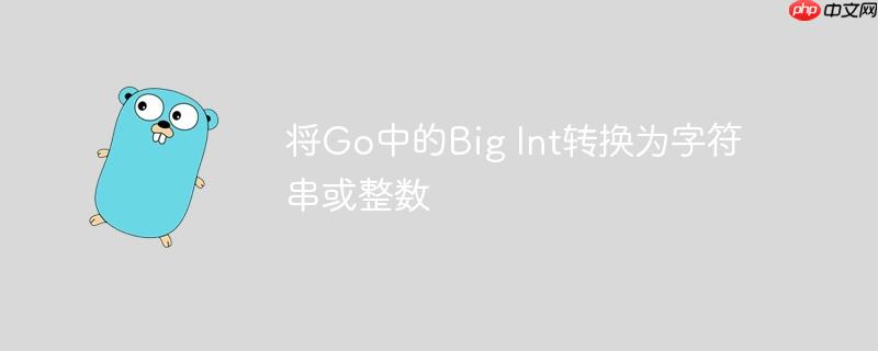 将Go中的Big Int转换为字符串或整数