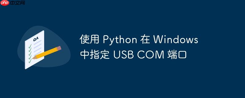 使用 Python 在 Windows 中指定 USB COM 端口