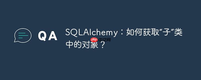 SQLAlchemy：如何获取“子”类中的对象？