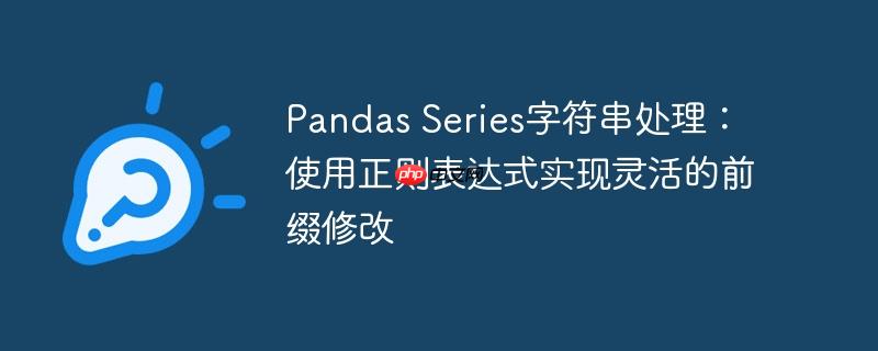 Pandas Series字符串处理：使用正则表达式实现灵活的前缀修改