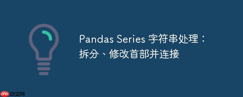Pandas Series 字符串处理：拆分、修改首部并连接